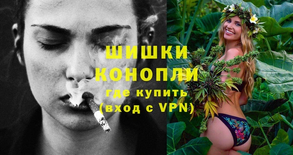 spice Богородицк