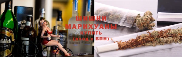 spice Богородицк