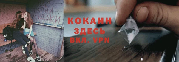 соль ск Богданович