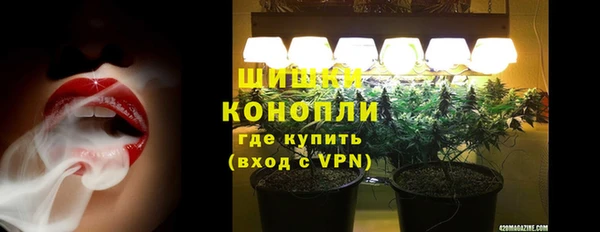 соль ск Богданович