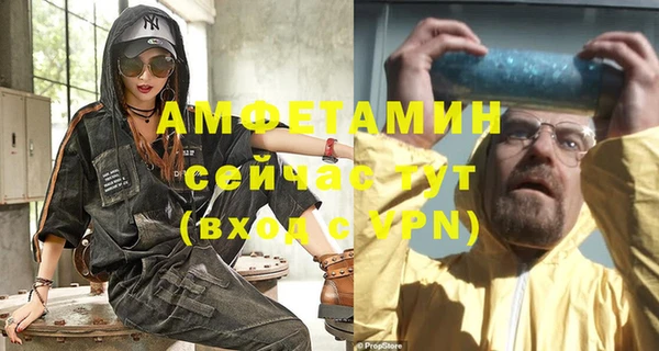 spice Богородицк