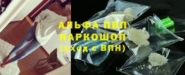 spice Богородицк