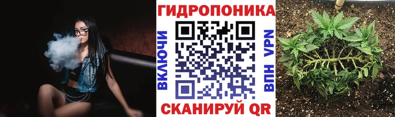 Канабис Ganja  Высоцк 